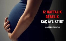 12 haftalık gebelik kaç aylık oluyor? Hamilelikte doğru bilinen yanlışlar!