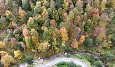 Doğu Karadeniz’de Sonbahar Renk Cümbüşü Oluşturdu