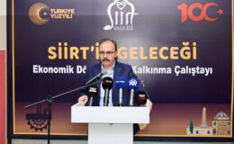 SİİRT’İN GELECEĞİ: EKONOMİK DÖNÜŞÜM VE KALKINMA ÇALIŞTAYI GERÇEKLEŞTİRİLDİ