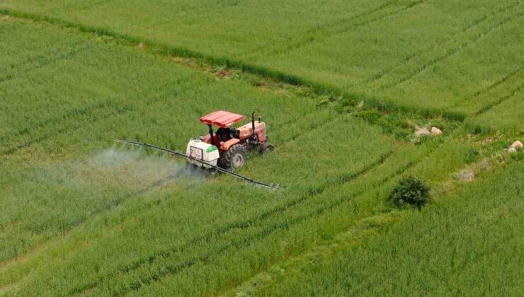 Çiftçilere 320,6 Milyon Lira Tarımsal Destek Ödemesi Yapılacak