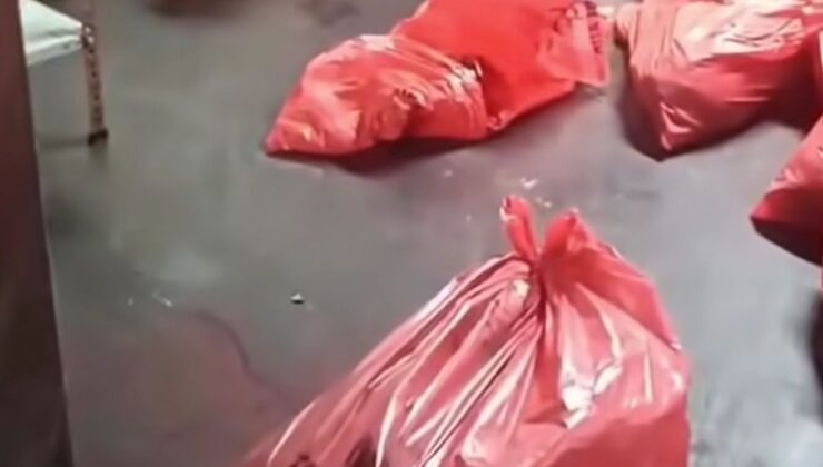 ABB’den ‘Barınakta Katliam’ İddialarına Yalanlama: Görüntüler Eski ve Başka Bir Yere Ait