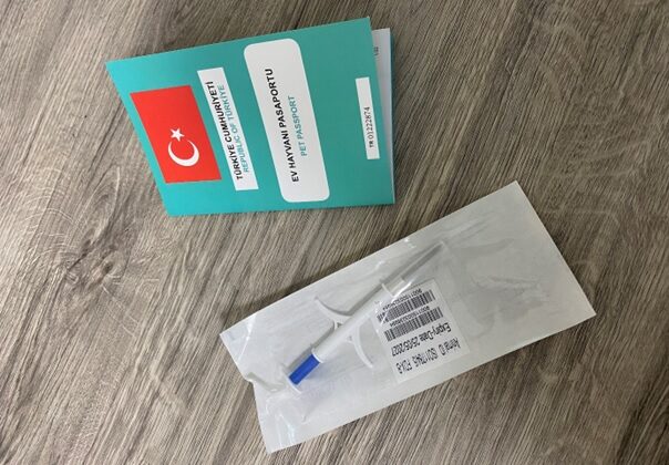 Evcil Hayvan Sahipleri İçin Son Çağrı: Çip Taktırma Süresi Yıl Sonunda Doluyor