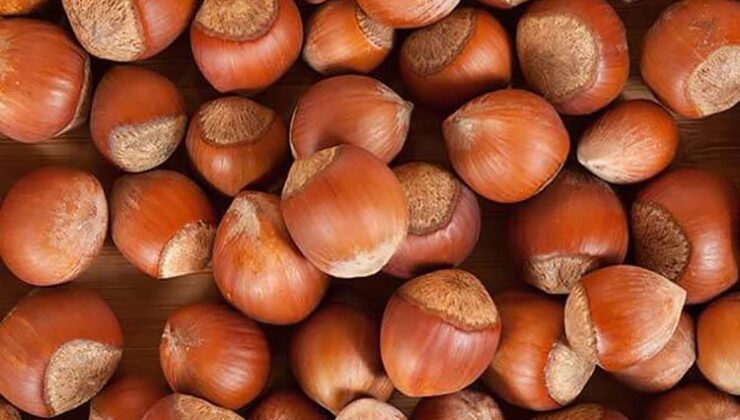 Trabzon’un 11 Aylık Fındık İhracatı 523 Milyon Doları Aştı