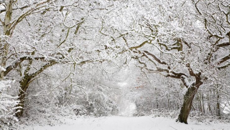 Meteoroloji’den 41 İle Sarı Kodlu Uyarı: Kar, Sağanak ve Fırtına Kapıda
