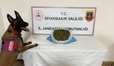Diyarbakır’da Narkoterör Operasyonu: 23 Kilogram Esrar Ele Geçirildi